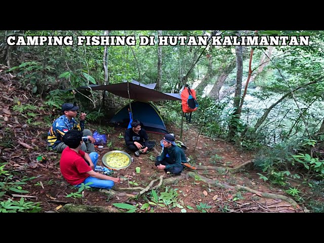 2 hari fishing camping di sungai hutan kalimantan panen ikan bersama teman