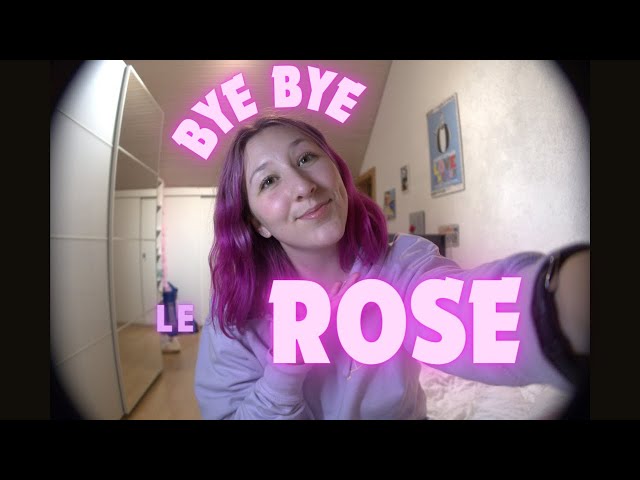 BYE BYE LE ROSE - Justine