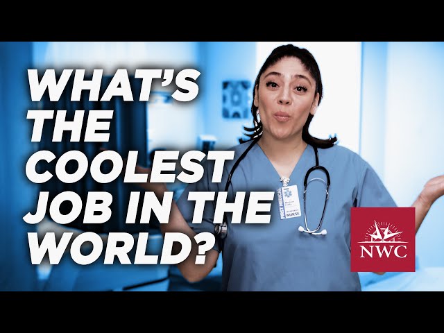 What's the Coolest Job in the World?