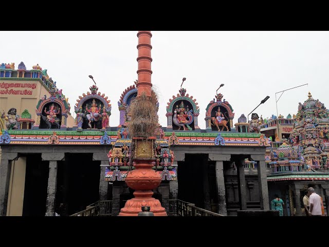 🔴LIVE vedapurishwarar temple thear thiruvizha