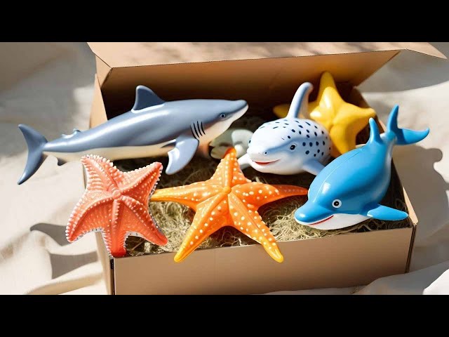 Sea Animals Review: Shark, puffer, Starfish, Clown, Tang, Eel, Gold fish, Sea Horse, Dolphin LIVE