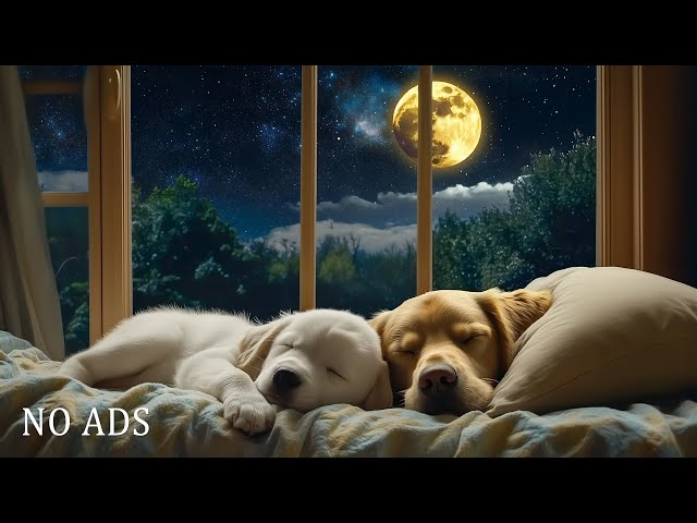 Soothing and Relaxing Piano Music for Dogs: Calm Anxiety & Help Your Dog Sleep Peacefully All Night