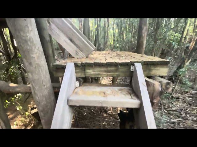 Tree House Cabin in The Woods 🐺( 97.1% Secluded & Private )