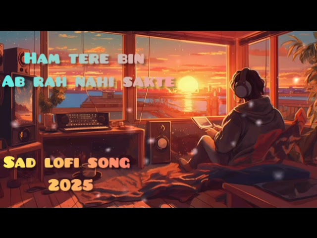 Why This LoFi Song is a TragedyHam Tere Bin Ab Rahe Nahi Sakte  lofi +Reverb +Slowed  song