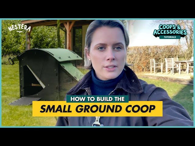 How to Build the Small Ground Coop