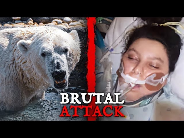 On Alaska, a Polar Bear Tore Apart a Woman and Child: The Horrifying Story Unfolds