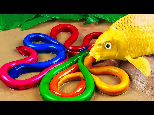 Stop Motion ASMR - The Witch Carp Traps Eels in the Muddy Swamp | Cartoon Stop Motion Fish ASMR