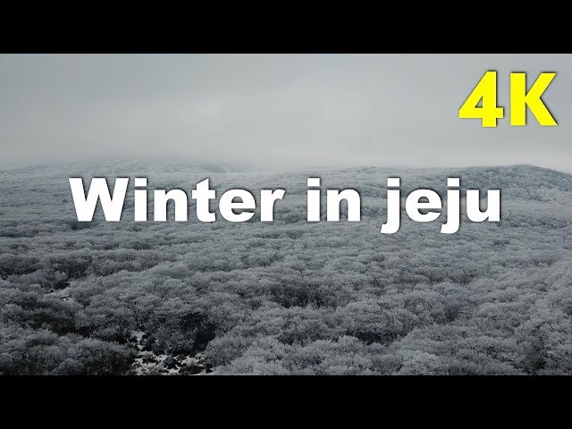 Relax Music & Winter in Jeju Island | beautiful south korea scenery | 4k Drone footage