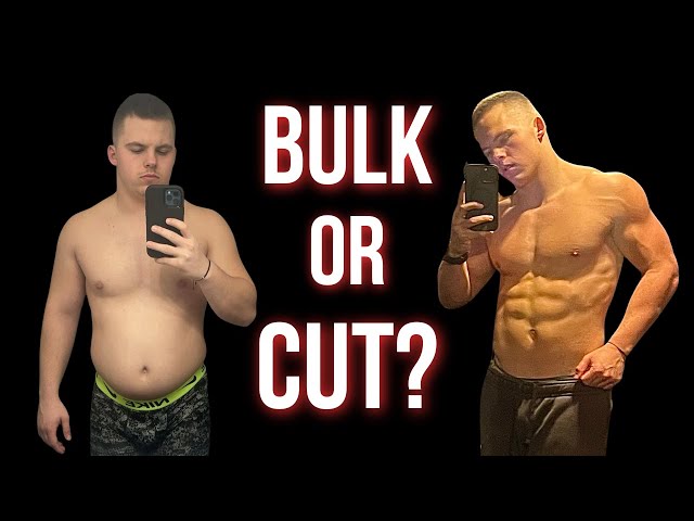 Should you Bulk or Cut? (Gen Z Explanation)