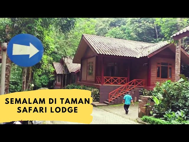 WISATA KE TAMAN SAFARI? NGINEP DI BUNGALOW ZEBRA, DINGIN!