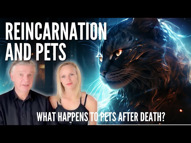 When Pets Pass: The Surprising Truth about Animal Reincarnation