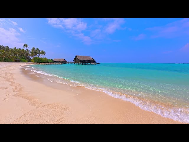 🏝 Turquoise Shoals: The Most Relaxing Waves in The World