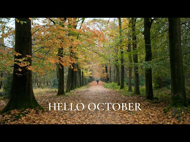 October vlog: preparing for autumn in my homestead