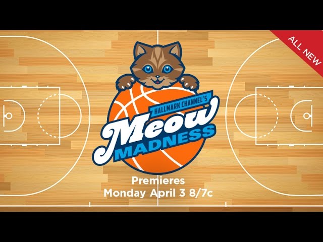 Meow Madness Virtual Reality Preview - Hallmark Channel