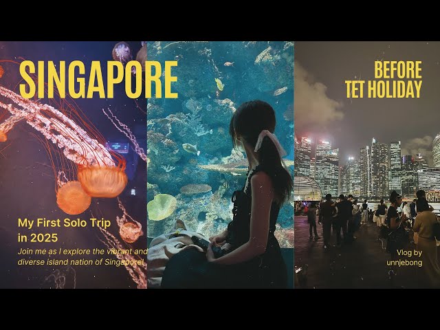 [SUB] Singapore Vlog ⋆˚✿˖° My 1st Solo Trip in 2025 ִֶָ𓂃 ࣪ ִֶָ🐇་༘࿐