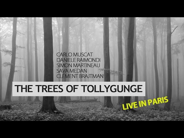 The Trees of Tollygunge (Live in Paris, 2015)