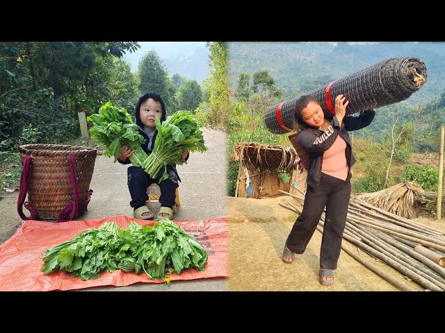 Single mother harvests vegetables to sell at market and buys nets for construction