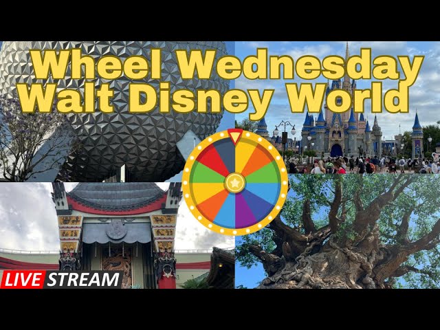 🔴 Live - Disney Rides Wheel Wednesday  -  Walt Disney World  02.05.2025