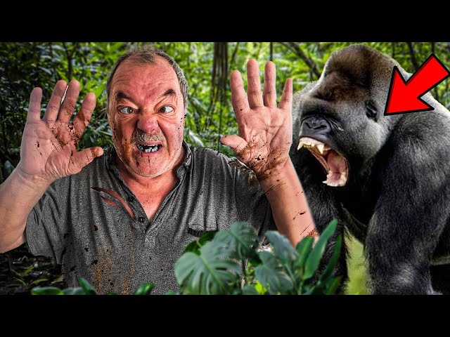 Gorilla Prank on dad