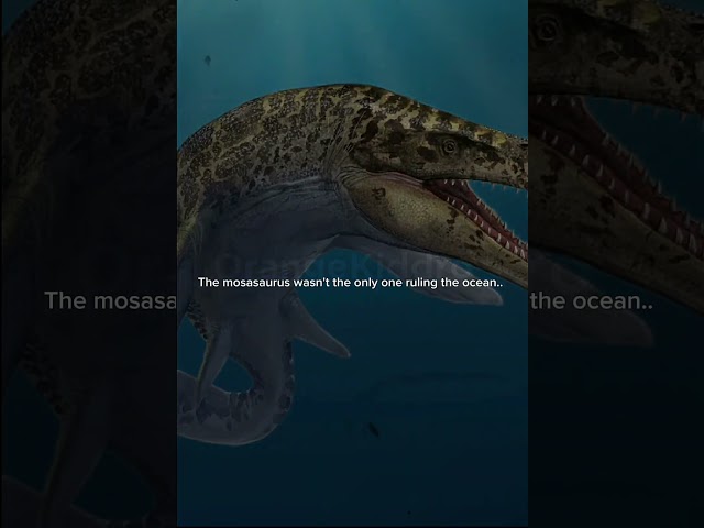 not the only one.. #mosasaurus #dinosaur #jurassicworld #jurassicpark #fy #editing #edit #fypシ゚