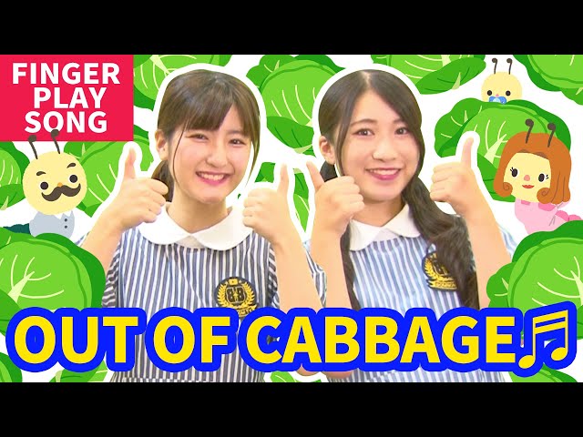 ♬OUT OF CABBAGE (🇯🇵Kyabetsu No Naka Kara)【In Japanese with English subtitle】