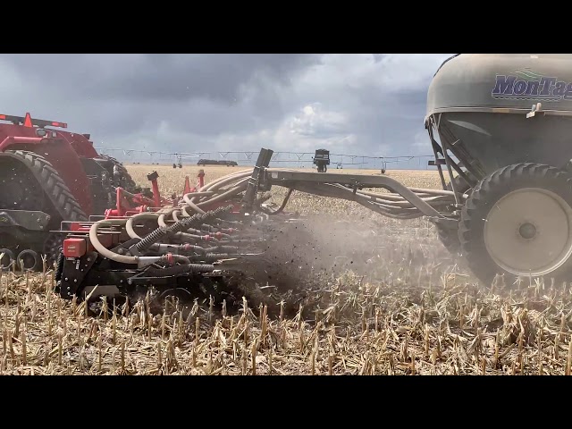 Case IH Steiger with Kuhn Krause Gladiator Strip-Till