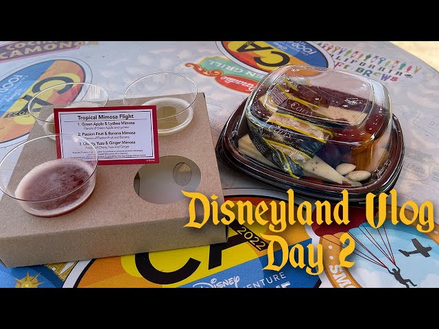 Disneyland April Trip Vlog: Day 2 (More rides and food!)