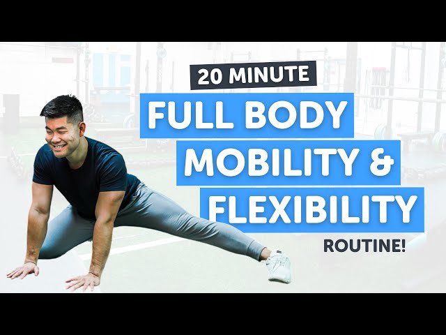 20 Minute Full Body Flexibility and Mobility Routine! | Follow Along | No Equipment!