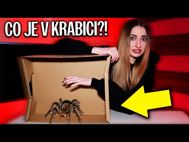 STRAŠIDELNÉ "CO JE V KRABICI" CHALLENGE!