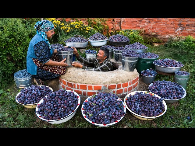 Long Term Prune Plums Preservation Without a Refrigerator 🍂