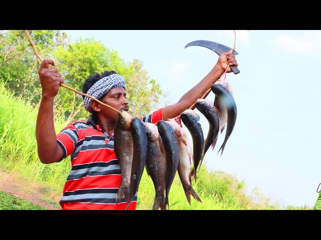 Caught Carp Fishes & Roasted Them In Middle Of No where VILLAGE Cooks