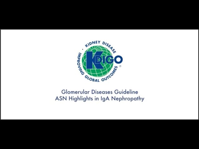 KDIGO Glomerular Diseases Guideline - ASN Kidney Week 2023 Highlights in IgA Nephropathy