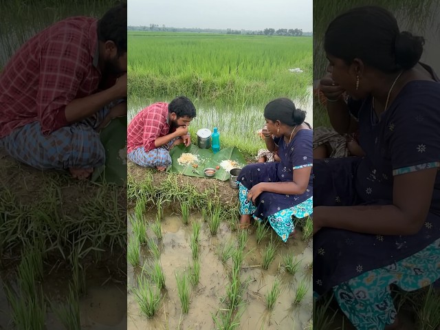 #beautiful village nature #villagelife #village lifeinindia