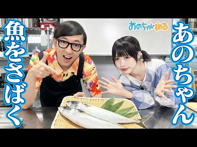 【あのちゃん×料理🍴】元料理人こがけん直伝‼️🔥おいしい魚のさばき方🐟🔪【あのちゃんねる#48】