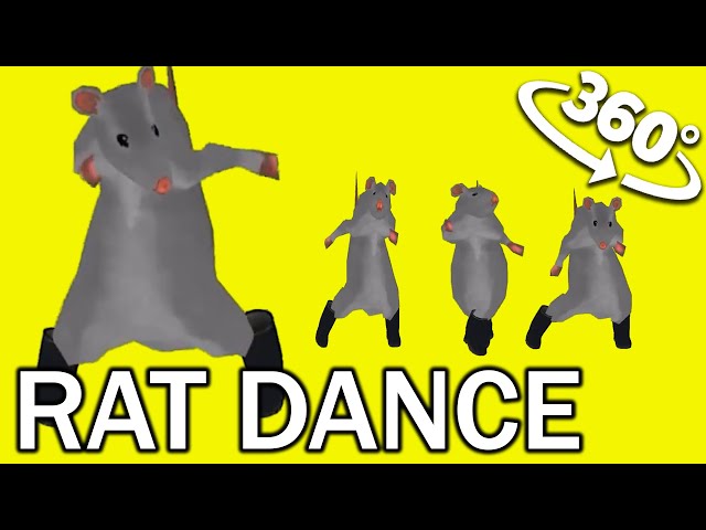 Rat dance !  VR 360°