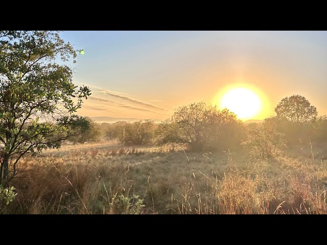 Sunrise 🌅 Safari in South Africa - join us !