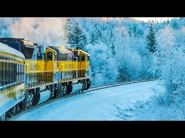 🔴 LIVE TRAIN 24/7&LIVE CHAT Cab Ride Wonderful Norwegian Train Live View Flåm Line Driver's View