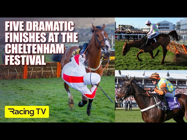 Five DRAMATIC finishes at the Cheltenham Festival