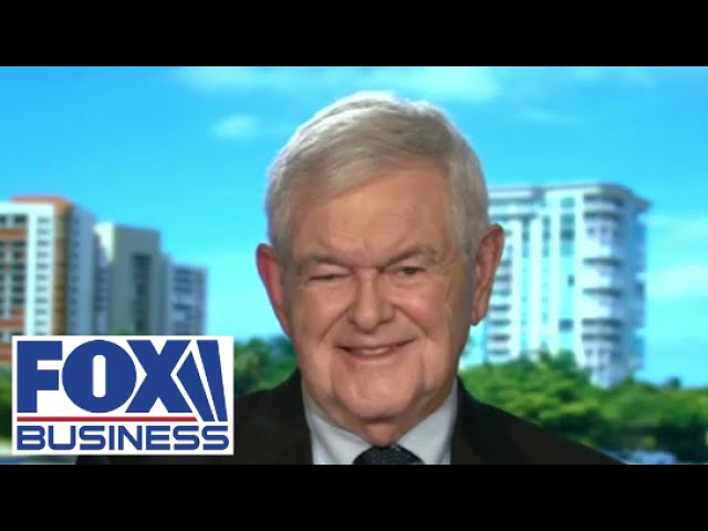 Newt Gingrich: This is a moment of historic opportunity