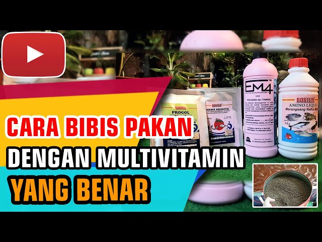 Cara bibis pakan ikan yang benar - dengan multivitamin tambahan