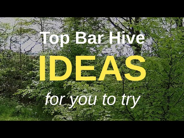 Top Bar Hive Ideas For You To Try