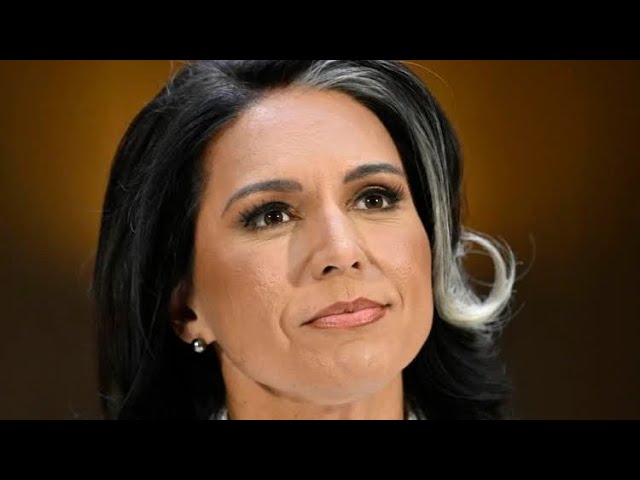 Tulsi Gabbard confirmation hearing message to all the Republican senators watch the video