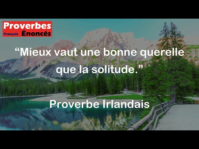 Mieux vaut une bonne querelle que la solitude. - Proverbe Irlandais