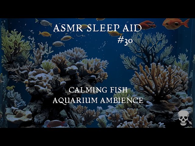 ASMR SLEEPAID #30 (Relaxing Aquarium Ambience) #calm #asmrsleep #asmr #sleepsounds #sleepaid