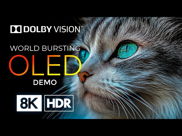 OLED 8K HDR (60fps) with Dolby Vision – Experience a World Bursting with Color