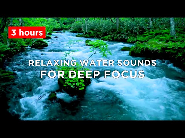 24/7 ASMR River Sounds for Deep Sleep, Focus & Relaxation | 🔊 Ultimate River ASMR | Study, Sleep