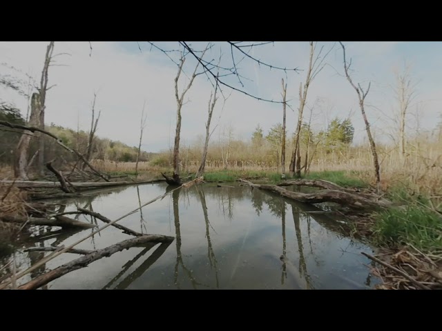 counter-clockwise jet-trail timelapse