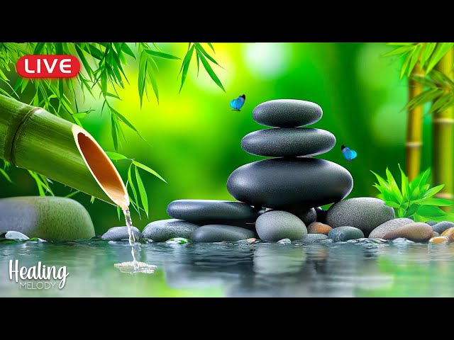 Relaxing Sleep Music + Insomnia: Stress Relief, Relax, Sleep, Spa & Meditation Music, Heart Healing