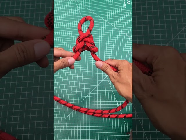 amazing alpine butterfly knot #knot #survivalknots #rope