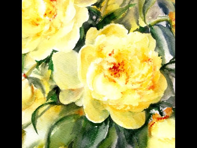 Paint a peony in watercolour